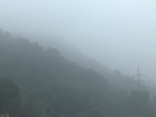 यूपी के जौनपुर में गुरुवार सुबह सड़कों पर घने कोहरे की चादर छाई रही।