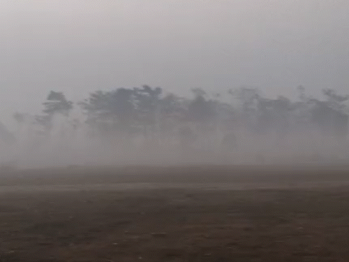 बगहा में सुबह-सुबह घना कोहरा छाया है।