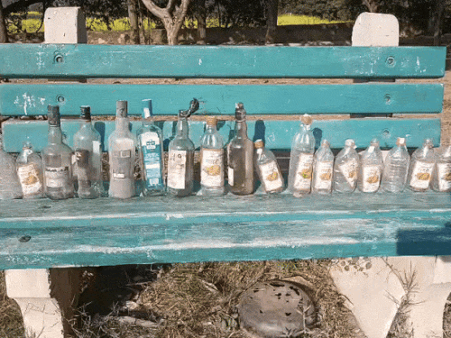 कॉलेज में कुछ दिनों पहले शराब की बोतलें मिली थीं।