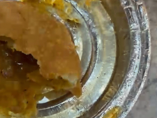 कचौरी में निकली ब्लेड का युवक ने वीडियो बनाया और सोशल मीडिया पर डाल दिया।