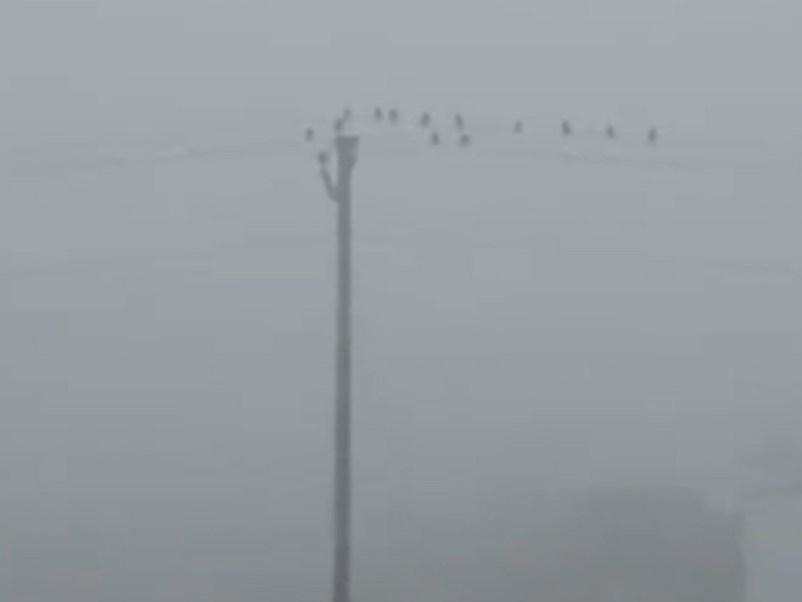 जामताड़ा में छाया घना कोहरा।