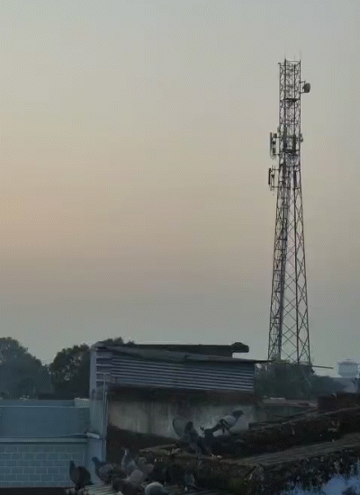 दिन का तापमान भी सामान्य से नीचे रहने के कारण ठिठुरन और बढ़ेगी।