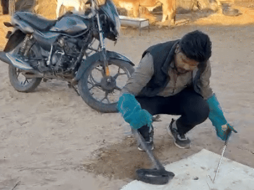 साहिल खान ने सांप का किया रेस्क्यू।