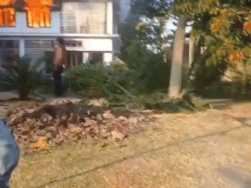 सोमवार को भीड़ ने BJP नेता और कार्बी आंगलोंग ऑटोनॉमस काउंसिल के चीफ तुलिराम रोंगहांग के पुश्तैनी घर में आग लगा दी थी।