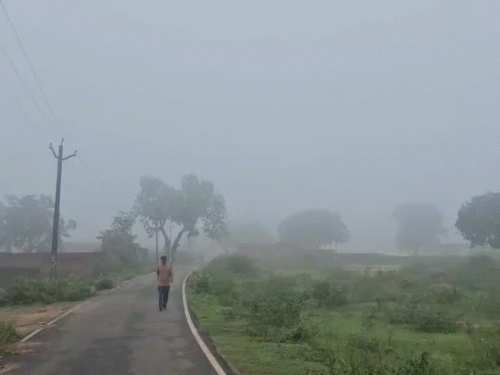 सुबह का कुहासा बारिश की हल्की फुहार की तरह लग रही है।