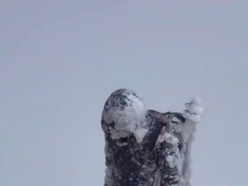 पिको डी ओरिजाबा पर चढ़ाई करते भारतीय पर्वतारोही।