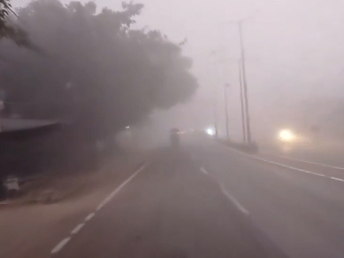 संभल में शीतलहर और घना कोहरा छाया हुआ है। लोग ठंड से बचने के लिए अलाव का सहारा ले रहे हैं।