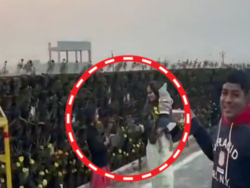 लखनऊ में सड़क किनारे सजे गमलों को लोग उठाकर ले गए। - Dainik Bhaskar