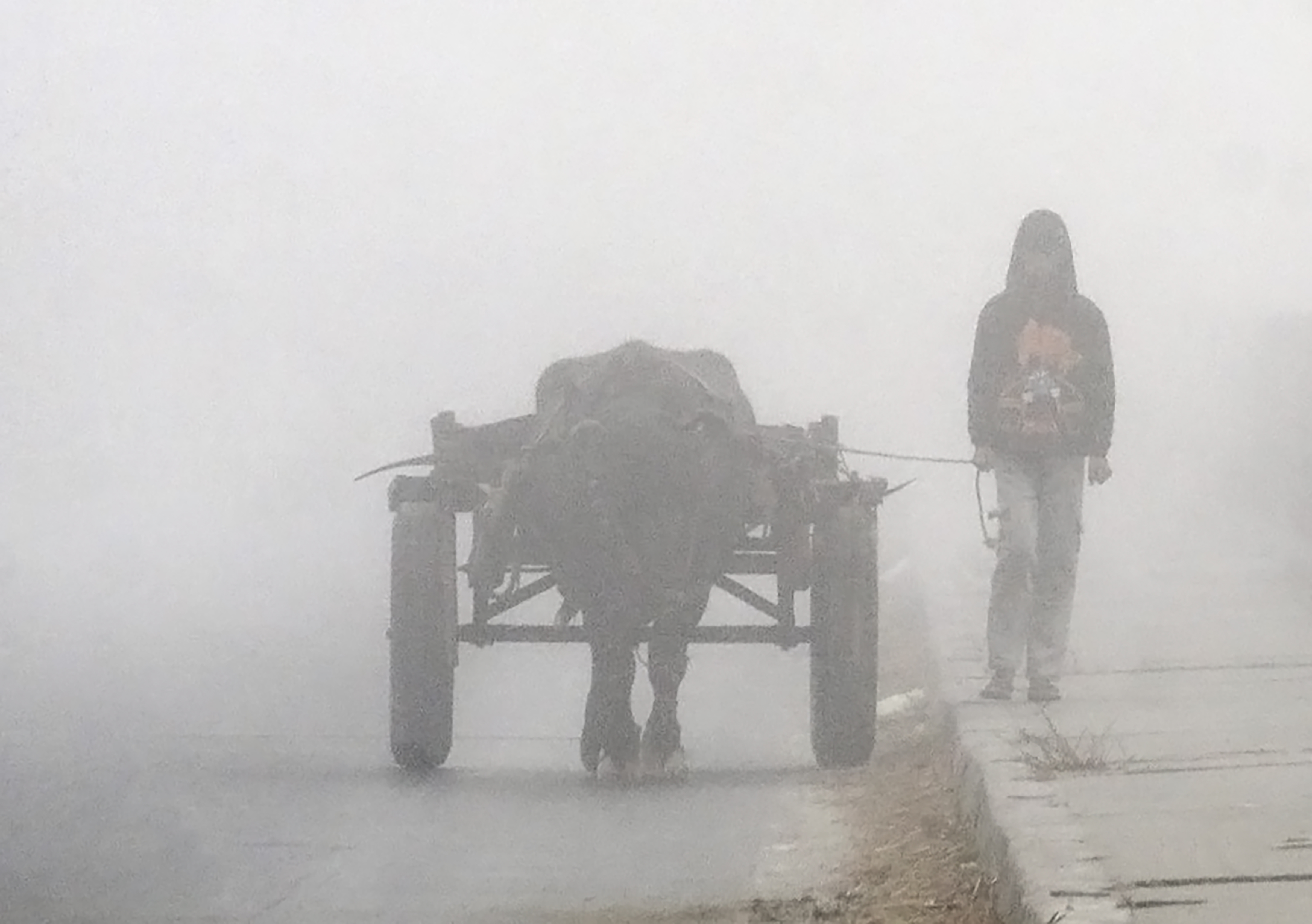 उत्तराखंड के देहरादून में घना कोहरा होने के कारण विजिबिलिटी जीरो हो गई।