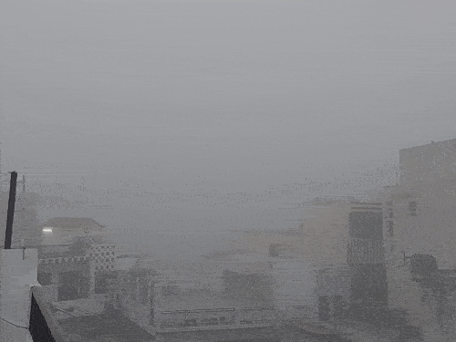 हरिद्वार में शुक्रवार सुबह घना कोहरा छाया रहा।