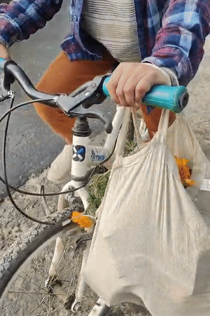 10-12 साल के लड़के भी साइकिल से झोला लेकर राष्ट्र प्रेरणा स्थल पहुंचे। झोले में भरकर गमले ले गए।