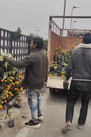 लखनऊ विकास प्राधिकरण की टीम ने प्रेरणा स्थल से गमले हटवा लिए हैं।