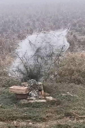 गाजीपुर में घने कोहरे और सर्द हवाओं के चलते कड़ाके की ठंड पड़ रही है। पेड़-पौधों पर ओस की बूंदें जमी हुई दिखाई दीं।