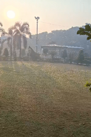 प्रयागराज में सुबह-सुबह निकली धूप से लोगों को ठंड से कुछ राहत मिली।