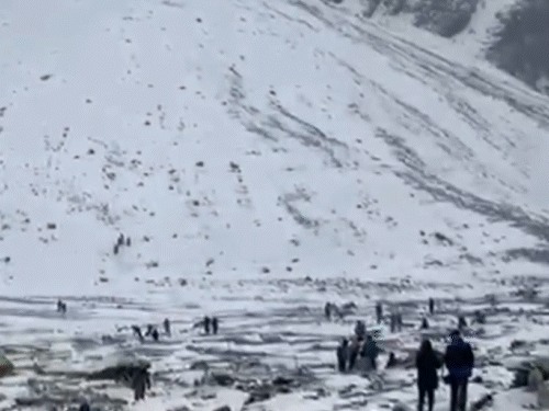 लाहौल स्पीति जिला के शिंकुला दर्रा में बर्फ के बीच मस्ती करते हुए टूरिस्ट।