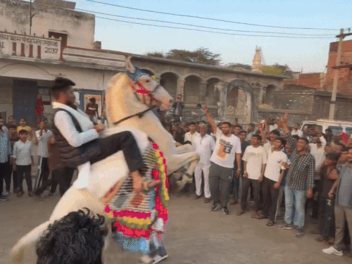 छात्र नेता निर्मल चौधरी अरावली बचाओ आंदोलन के तहत यात्रा पर हैं। उनका यह वीडियो सामने आया जिसमें वे सफेद घोड़ी पर स्टंट दिखा रहे हैं।