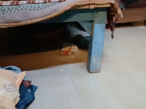 कमरे में बेड के नीचे अंगीठी जलाकर रखी गई थी।