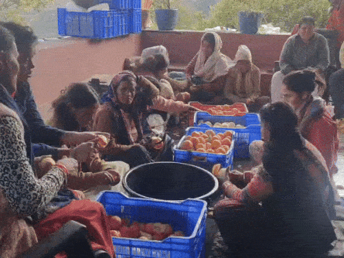 A group of women peeling shells outside Malta.