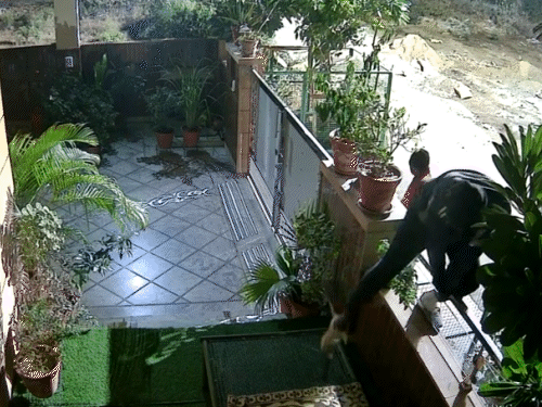 जोधपुर में दीवार फांदकर सूने मकान में चोर घुस गए।