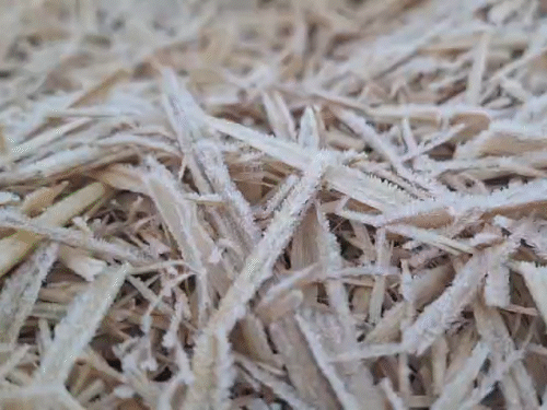 मैनपाट में सुबह ओस की बूंदें जमकर बर्फ बन गई।