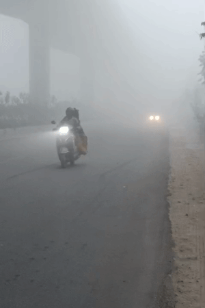 कानपुर में रविवार सुबह घना कोहरा छाया रहा। पूरे शहर में शीतलहर चल रही है।