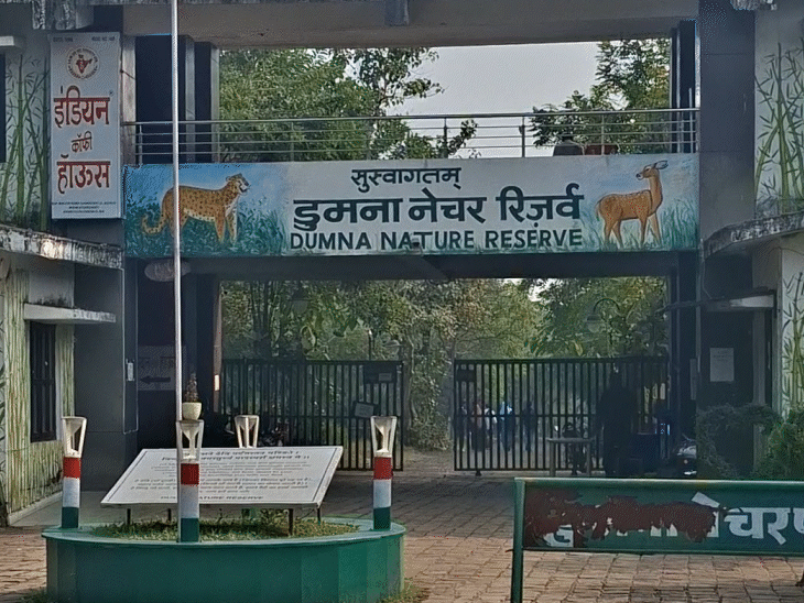 डुमना पार्क एयरपोर्ट से सिर्फ 7 किमी की दूरी पर है।