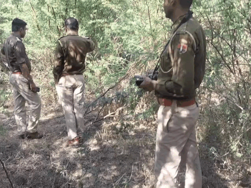 घटना की जांच करती रानीवाड़ा पुलिस।