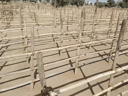 चारण खेत में बनाया गया जिगजैग,भीड़ बढ़ने पर भक्तों को यहां से दर्शनों के लिए ले जाया जाएगा।