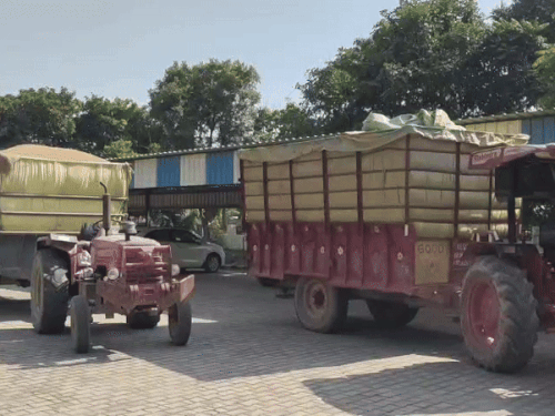 घरौंडा मंडी से धान की लिफ्टिंग करते वाहन।