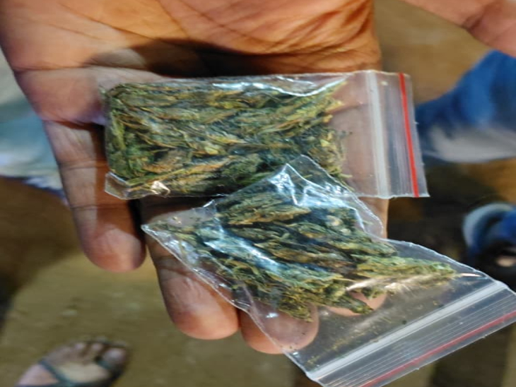 भास्कर रिपोर्टर ने कस्टमर बन कर खरीदी गांजे की पुड़िया। ये पुड़िया 100-100 रुपए में बेची जा रही है।