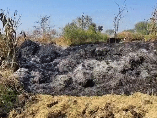 बुजुर्ग खेत के पास ही रहता था। ये हादसा है या कोई साजिश पुलिस जांच कर रही है।