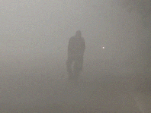 उत्तर प्रदेश: नोएडा में घने कोहरे की वजह से विजिबिलिटी काफी कम रही।