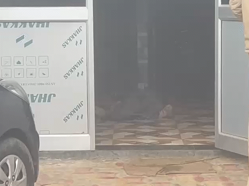 कमरे में फर्श पर महिला की लाश पड़ी दिखाई दी।