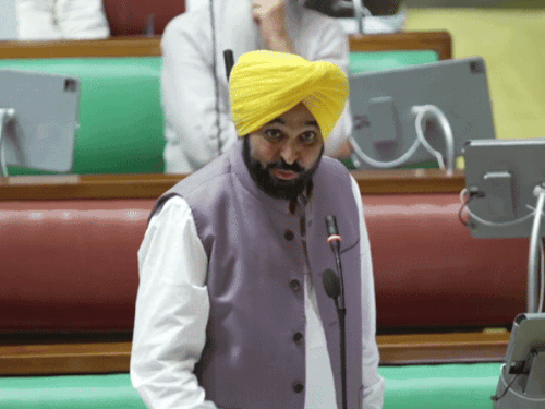 पंजाब सीएम भगवंत मान विधानसभा में बात रखते हुए। फाइल फोटो