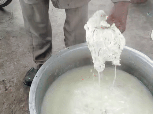 लंगर में खराब दूध।