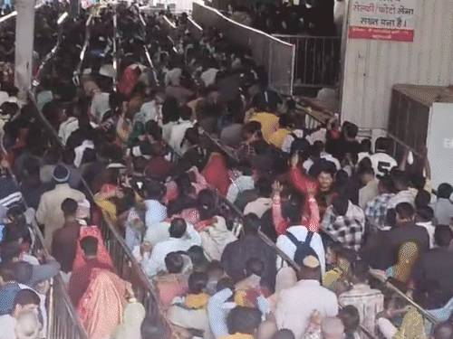 खाटूश्याम मंदिर में दर्शन के लिए 4 लाइनें लगी हैं।