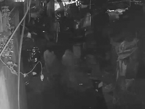 कुकरबेड़ा बस्ती में पुड़िया लेकर लौटता हुआ भास्कर रिपोर्टर।