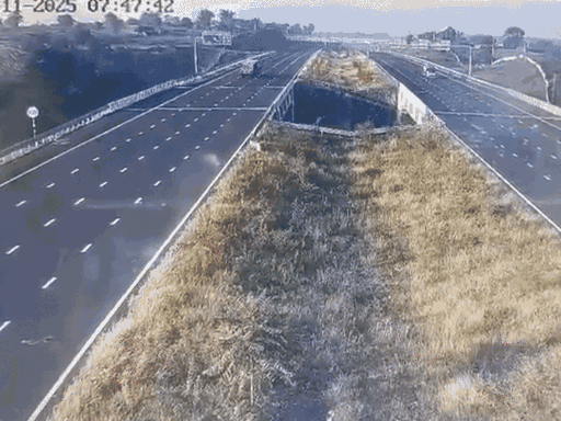 वीडियो में दिख रहा है कि तेज रफ्तार कार सड़क से उतरी, फिर खाई में जा गिरी।