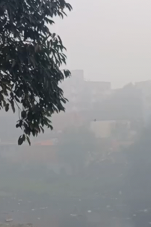 घने कोहरे का असर रांची एयरपोर्ट पर भी देखने को मिला।