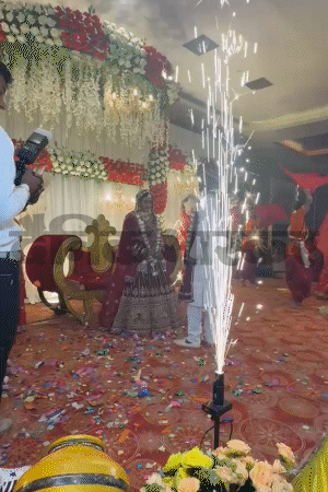 दोनों की शादी बड़े धूमधाम से हुई थी।