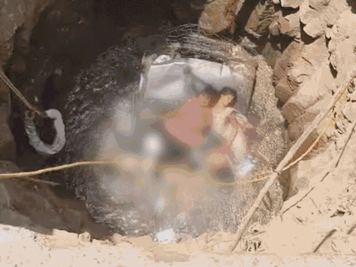 कुएं में गिरी वैन को लाशों समेत क्रेन की मदद से बाहर निकाला गया था।