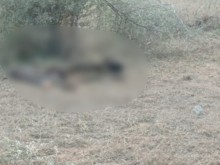 कंकाल मिलने के बाद इलाके में फैली सनसनी।