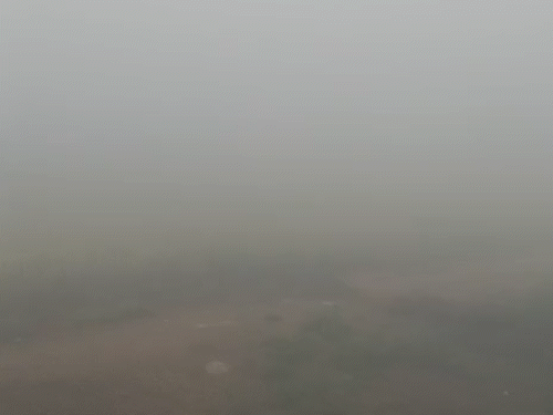 अलवर शहर में मंगलवार सुबह घना कोहरा छाया रहा। विजिबिलिटी घटने से ट्रैफिक भी सुबह कम रहा।