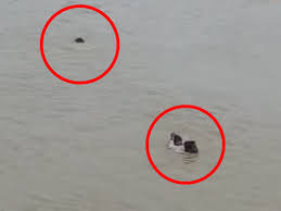 आगरा में 2025 की टॉप 10 घटनाएं:  दर्जनों हादसे दे गए दर्द, राणा सांगा पर विवादित बयान से कई दिन गर्माया शहर – Agra News