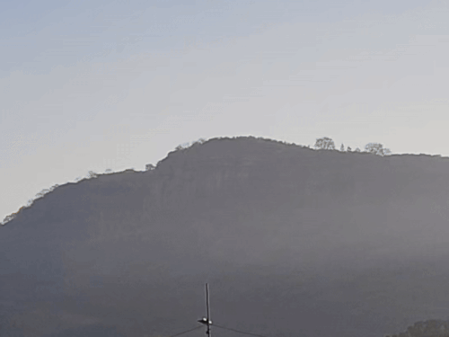 सवाई माधोपुर में सुबह सुबह छाया कोहरा।