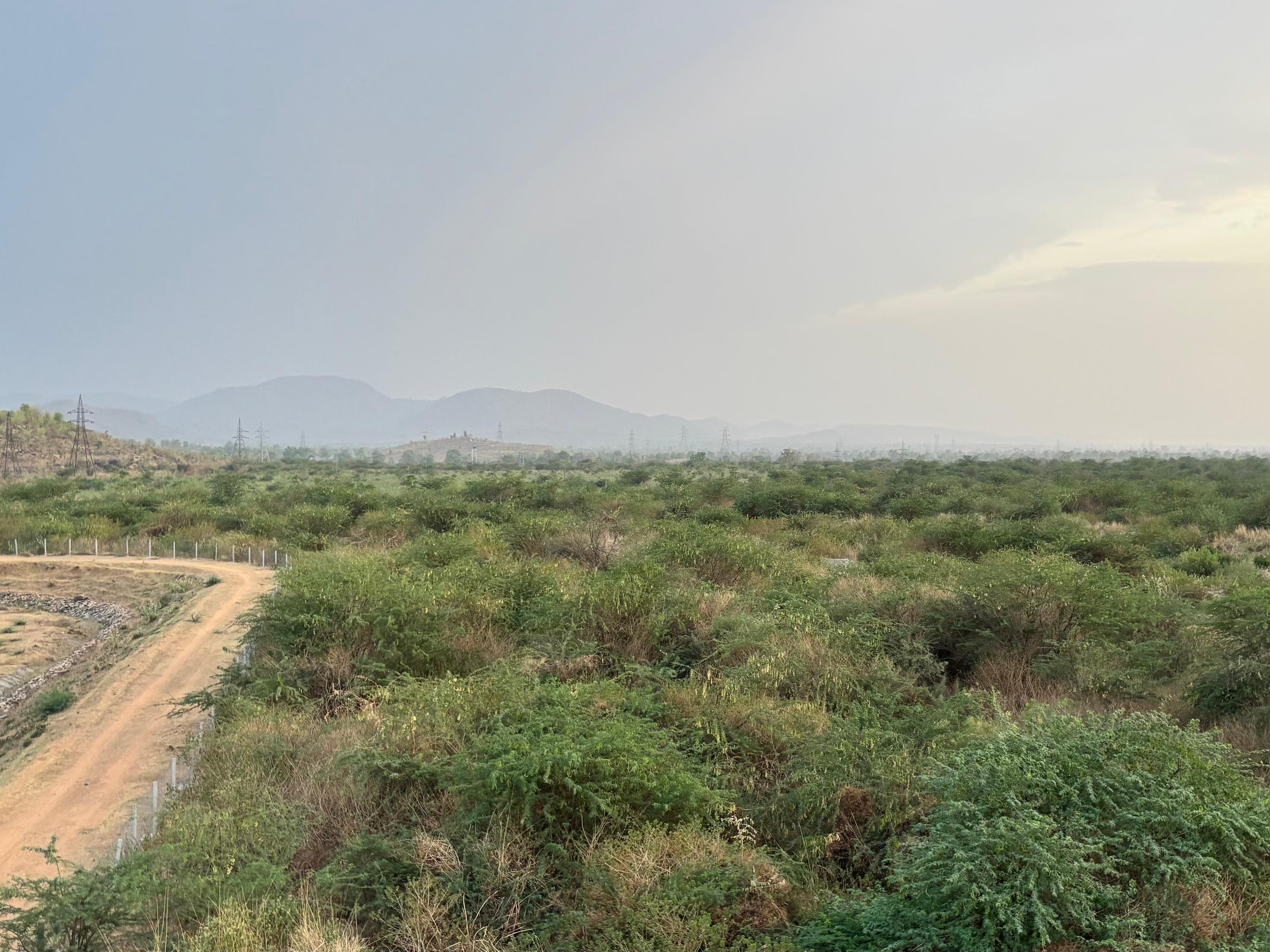 MPPGCL इस भूमि पर सोलर प्लांट लगाना चाहता है।