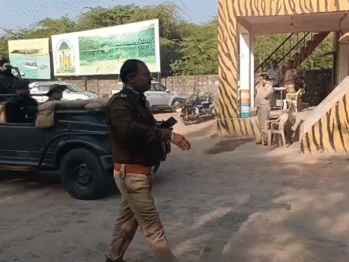 रेहान और अवीवा मंगलवार को राजस्थान में सवाई माधोपुर के रणथंभौर पहुंचे थे।