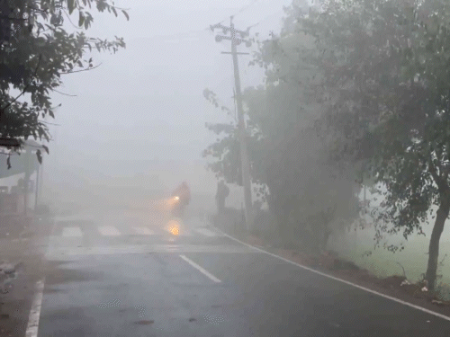 हरियाणा के करनाल में बुधवार सुबह घना कोहरा छाया। विजिबिलिटी 10 मीटर कम रही।