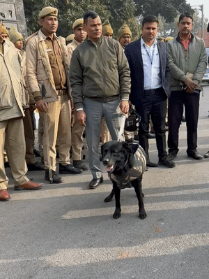 चेकिंग के दौरान डॉग स्क्वॉड टीम ने संदिग्ध वस्तुओं की जांच की।