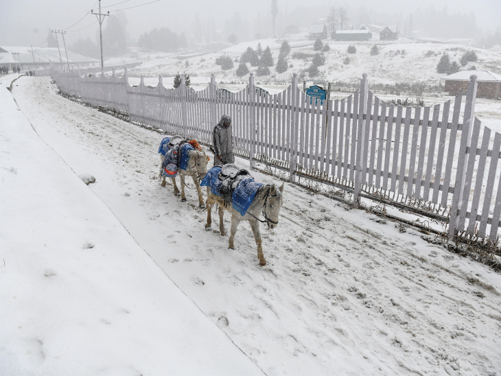 कश्मीर घाटी के गुलमर्ग में बर्फबारी के बाद पूरा इलाके ने सफेद चादर ओढ़ ली और बेहद खूबसूरत नजर आया। - Dainik Bhaskar